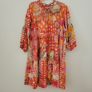 Variety Hour Picnic Poet Dress - L